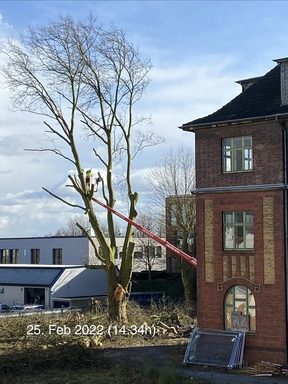 Altes Verwaltungsgebäude von Gudrun Roßbach